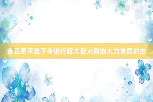 金正恩平直下令进行超大型火箭炮火力请愿射击