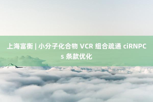 上海富衡 | 小分子化合物 VCR 组合疏通 ciRNPCs 条款优化