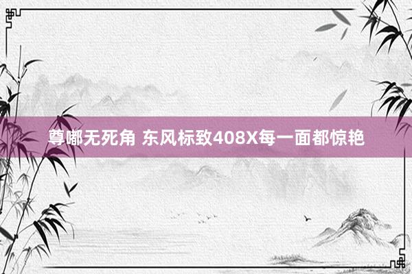 尊嘟无死角 东风标致408X每一面都惊艳