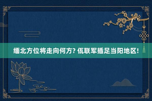 缅北方位将走向何方? 佤联军插足当阳地区!