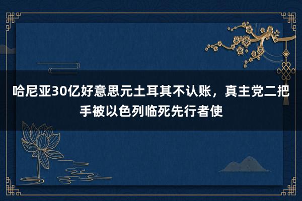 哈尼亚30亿好意思元土耳其不认账，真主党二把手被以色列临死先行者使