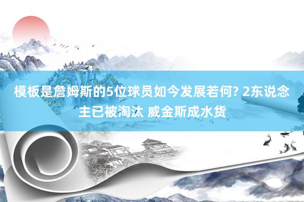 模板是詹姆斯的5位球员如今发展若何? 2东说念主已被淘汰 威金斯成水货