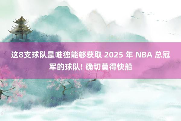 这8支球队是唯独能够获取 2025 年 NBA 总冠军的球队! 确切莫得快船