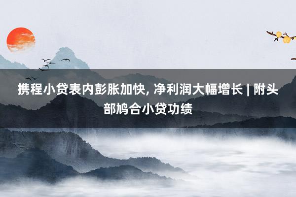 携程小贷表内彭胀加快, 净利润大幅增长 | 附头部鸠合小贷功绩