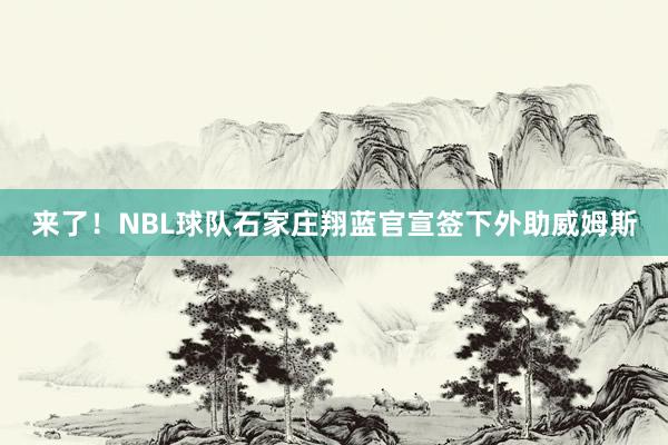 来了！NBL球队石家庄翔蓝官宣签下外助威姆斯