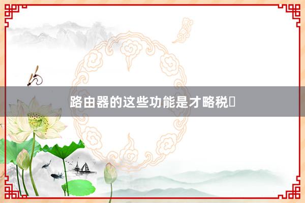 路由器的这些功能是才略税❓