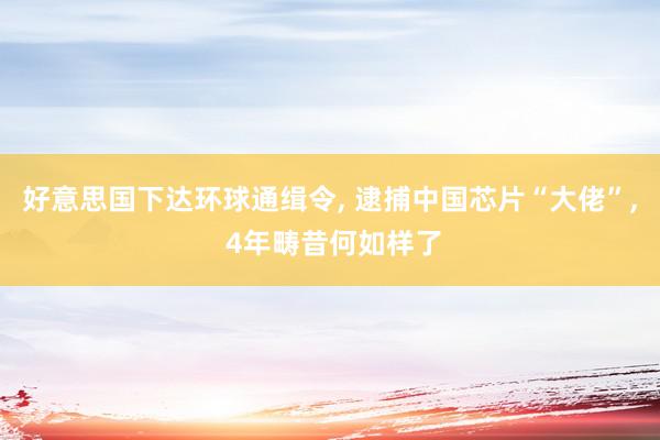 好意思国下达环球通缉令, 逮捕中国芯片“大佬”, 4年畴昔何如样了