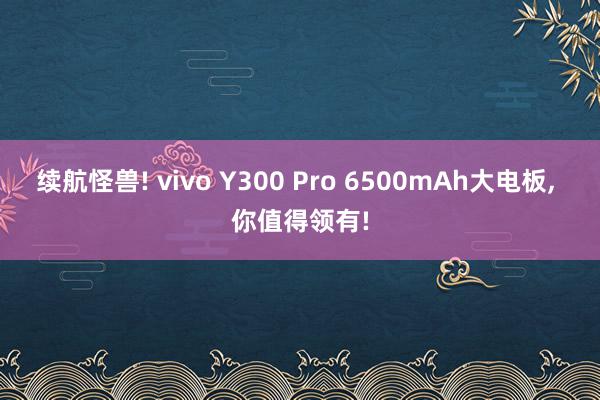 续航怪兽! vivo Y300 Pro 6500mAh大电板, 你值得领有!