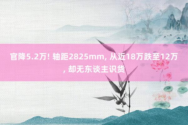 官降5.2万! 轴距2825mm, 从近18万跌至12万, 却无东谈主识货